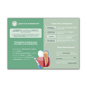 Endodoncia - Díptico
